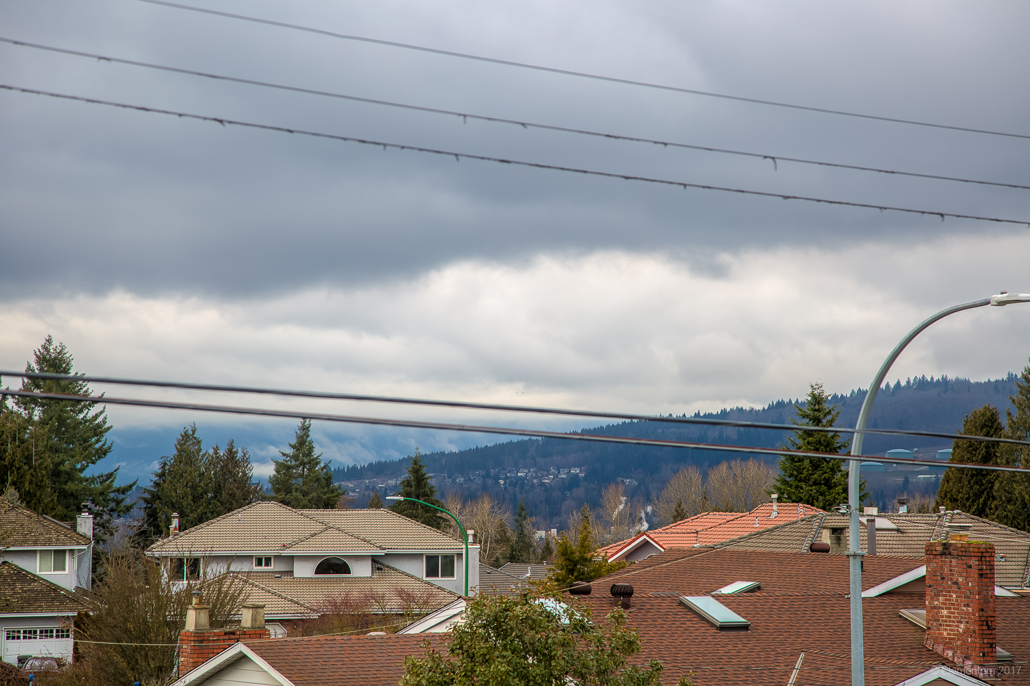 7952 Edmonds Street, Burnaby 30