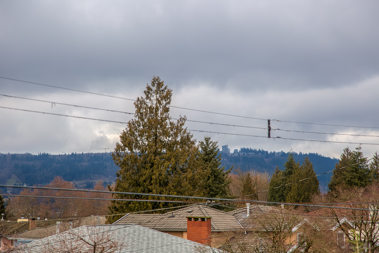 7952 Edmonds Street, Burnaby 31