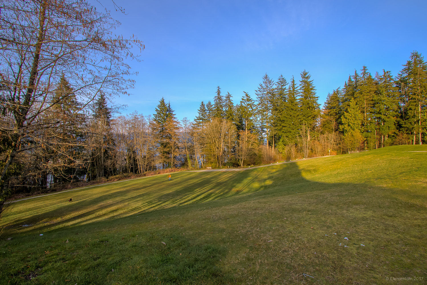 377 N Ranelagh Avenue, Burnaby 36