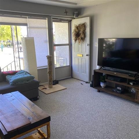 7513 7515 16th Ave, Burnaby East 3