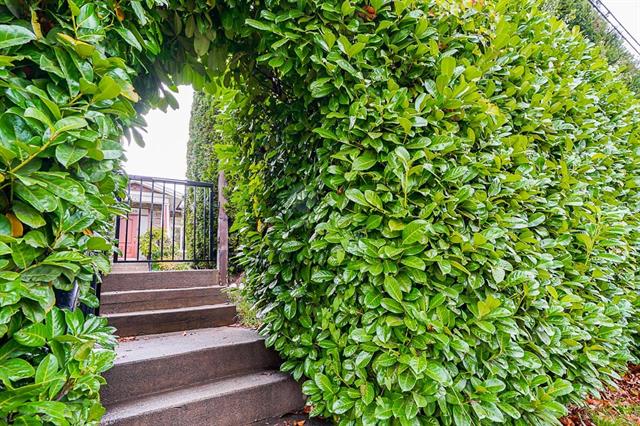 8125 10th Ave, Burnaby East 4